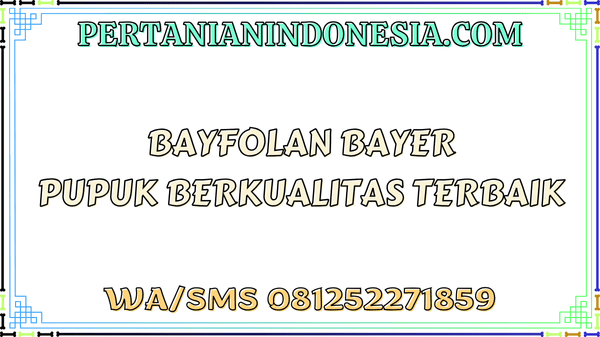Bayfolan Bayer Pupuk Berkualitas Terbaik